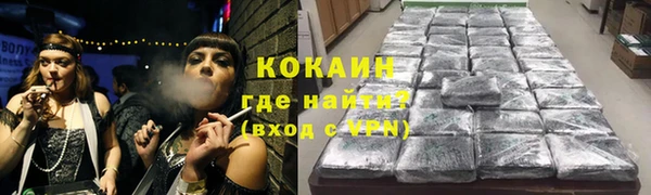 крисы Богородицк