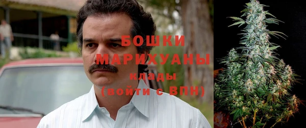 крисы Богородицк