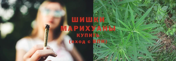 крисы Богородицк