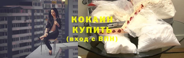 крисы Богородицк
