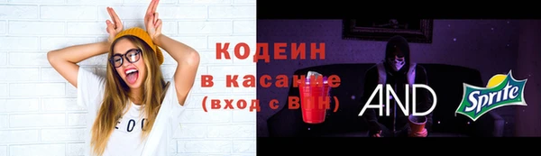 крисы Богородицк