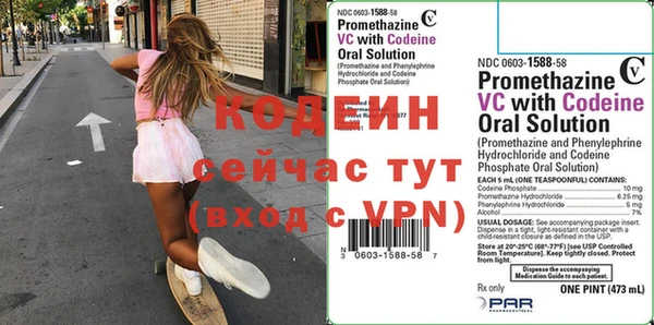 крисы Богородицк